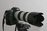 Canon EOS 10D mit BG-ED3 und Canon EF 70-200/2.8 L IS USM