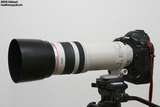 Canon EOS 1D MKIIN mit Canon EF 100-400/4.5-5.6L IS USM bei 400mm